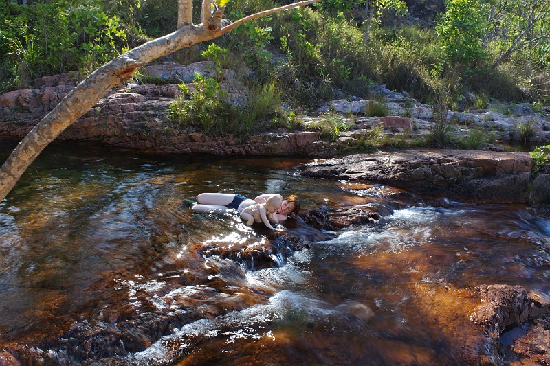 2009-11-06 22-00-57_1.jpg - ein großes und ein kleines Krokodil